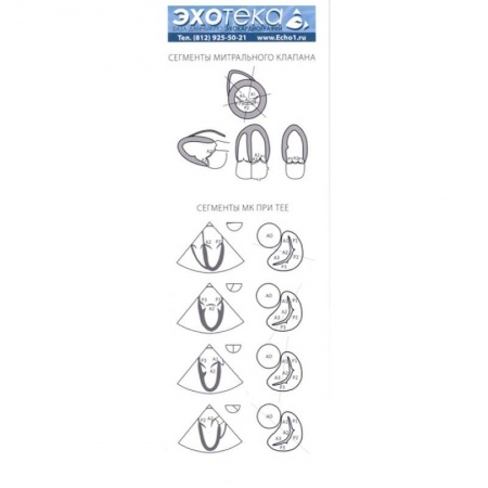 Кардиология, книга Пособие по эхокардиографии (Буклет Эхотека) купить по скидке