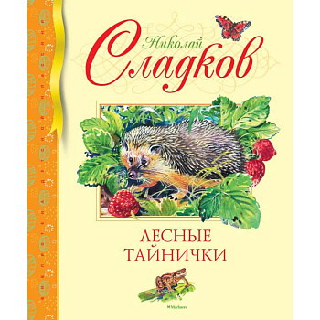 Лесные тайнички Лесные тайнички