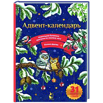 Адвент-календарь. Новогодняя ботаника: прогулка по зимнему лесу Адвент-календарь. Новогодняя ботаника: прогулка по зимнему лесу