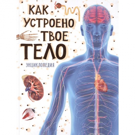 Человек. Земля. Вселенная, книга Как устроено твое тело. Энциклопедия купить по скидке