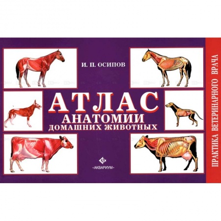 Ветеринария, книга Атлас анатомии домашних животных купить по скидке