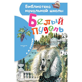 Белый пудель Белый пудель