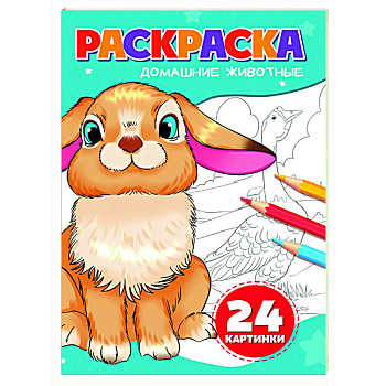 Домашние животные (24 картинки) Домашние животные (24 картинки)
