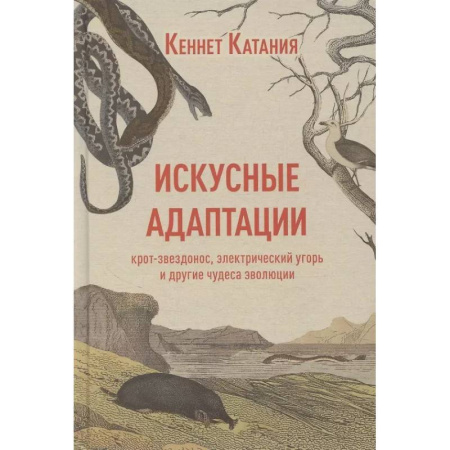 Биологические науки, книга Искусные адаптации. Крот-звездонос, электрический угорь и другие чудеса эволюции купить по скидке