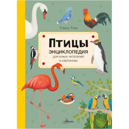 Животный и растительный мир, книга Птицы купить по скидке
