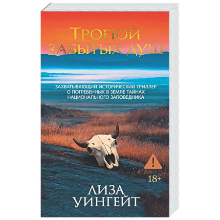 Зарубежный детектив, книга Тропой забытых душ купить по скидке