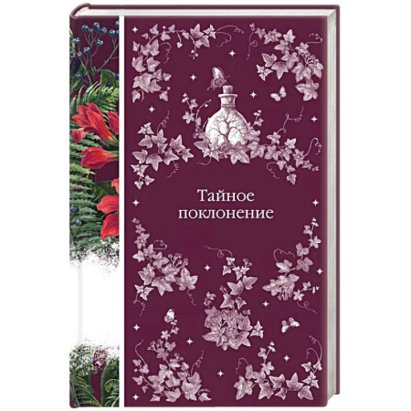 Зарубежная современная проза, книга Тайное поклонение купить по скидке