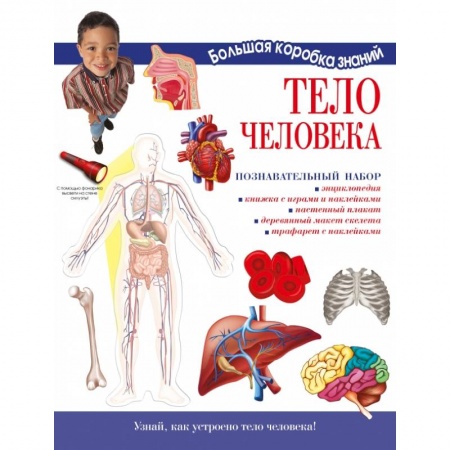Познавательная литература, книга Тело человека. Познавательный набор купить по скидке