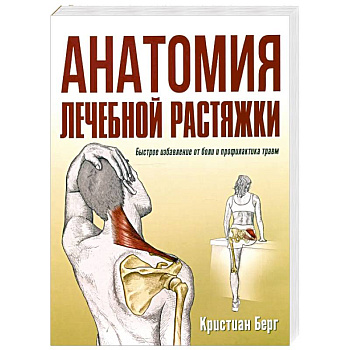 Анатомия лечебной растяжки. Быстрое избавление от боли и профилактика травм