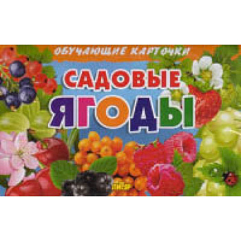 Садовые ягоды. Обучающие карточки Садовые ягоды. Обучающие карточки