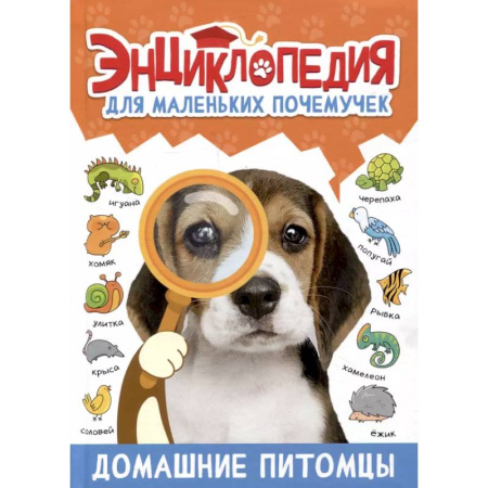 Животный и растительный мир, книга Домашние питомцы купить по скидке